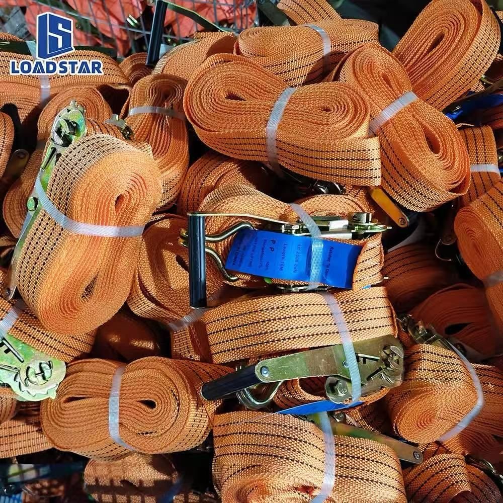 تربيط